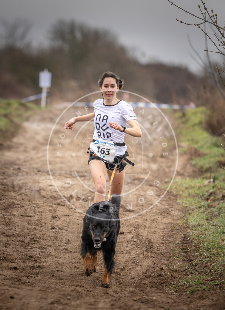 DV3A9609 | Hundefotografie, Tierfotograf, Pfotenfotografie, Fotoshooting Hund, Hunde Portrait, Hundesport, Hundeportraits, Heideshooting, Hunde, Sportfotograf, Hundefotograf, Turnierhundsport, THS,  - Realisiert mit Pictrs.com