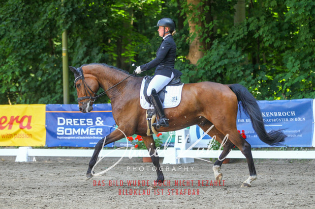 DKP42535 | Turniersportfotografie; Pferdefotografie; Dressurfotografie