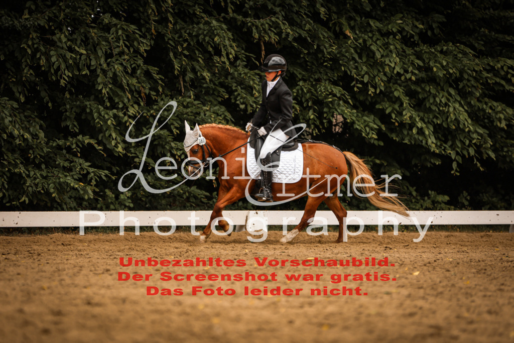 DoDrE00501 | Leoni Ertmer Photography - Realisiert mit Pictrs.com