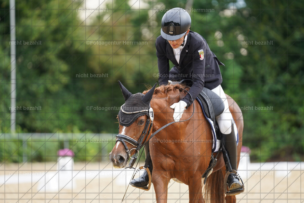 20240825-FAH09905 | Turnierbilder, Reitsportfotos, LAPO, Landesponyturnier, Turnierfotografen Bayern