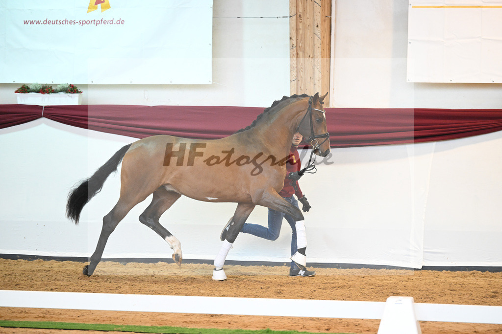 Kat-Nr. 23 v. Don Schufro_Raumanns_66220541 | hf-fotografie - Realisiert mit Pictrs.com