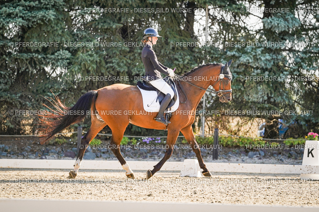 DSC09805 | Pferdegrafie