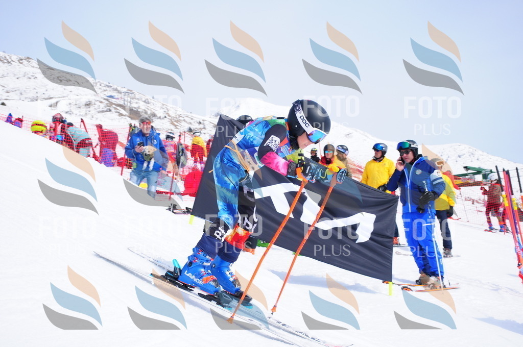 DSC_2218 | holidayphoto