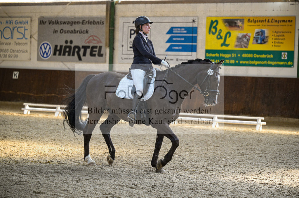 Reitturnier Voxtrup | Entdecke hochwertige Reitturnierfotos von Foto Oger. Professionell, emotional und authentisch – jetzt Lieblingsmomente im Shop bestellen.Deutschlandweite Turnierfotografie. - Realisiert mit Pictrs.com
