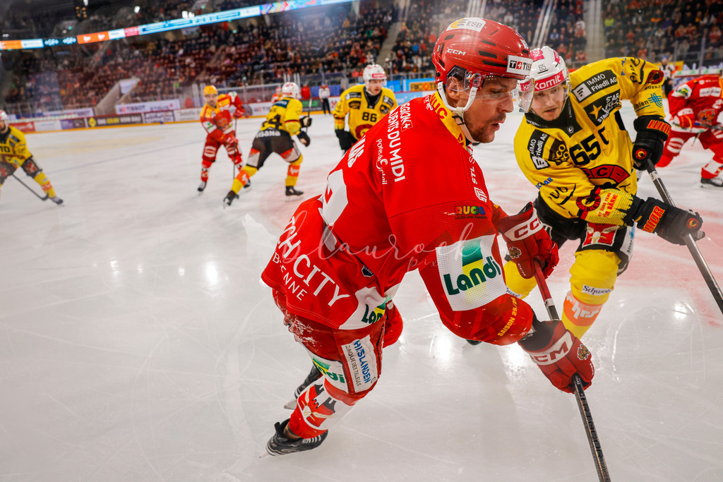EHCB vs SCB 20260110_wb-3200 | Sportbilder, Sportfotograf, Hochzeits- und Eventfotografin, Flugshows, Portraits und Tiershooting, Aviation, Downhill, Nationalleague, Swissleague, International