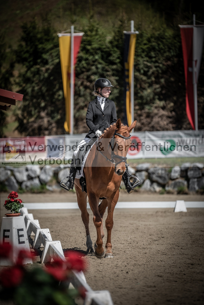 DSC_0012 | equestrian-live-com