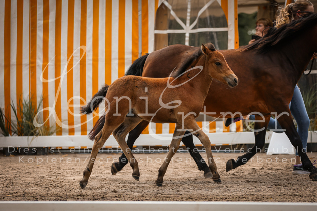 02.DoSR00080 | Leoni Ertmer Photography - Realisiert mit Pictrs.com