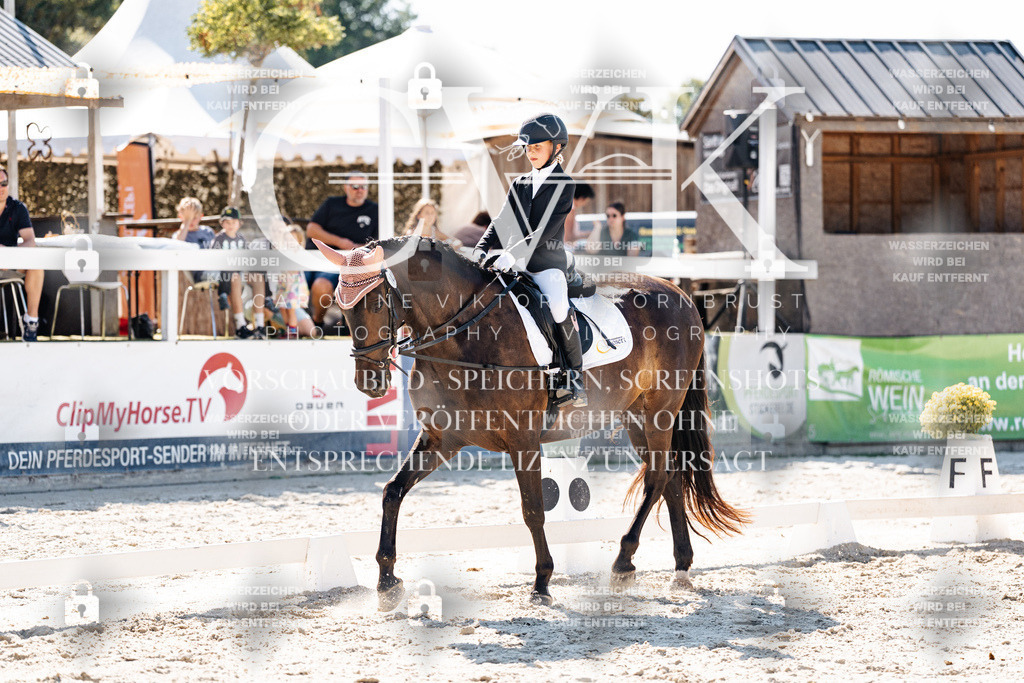 CK903009 | Turnierfotografie Pferdefotografie Trier Rheinland-Pfalz Pferdesport Reitsport Tierfotografie Sportfotografie Pferdevideo Pferdevideografie Equestrianvideography equestrianphotography  - Realisiert mit Pictrs.com