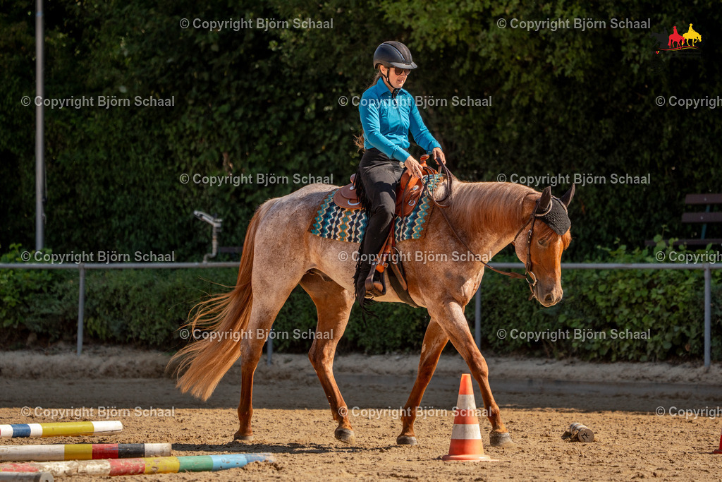 LMS05050 | BS-foto