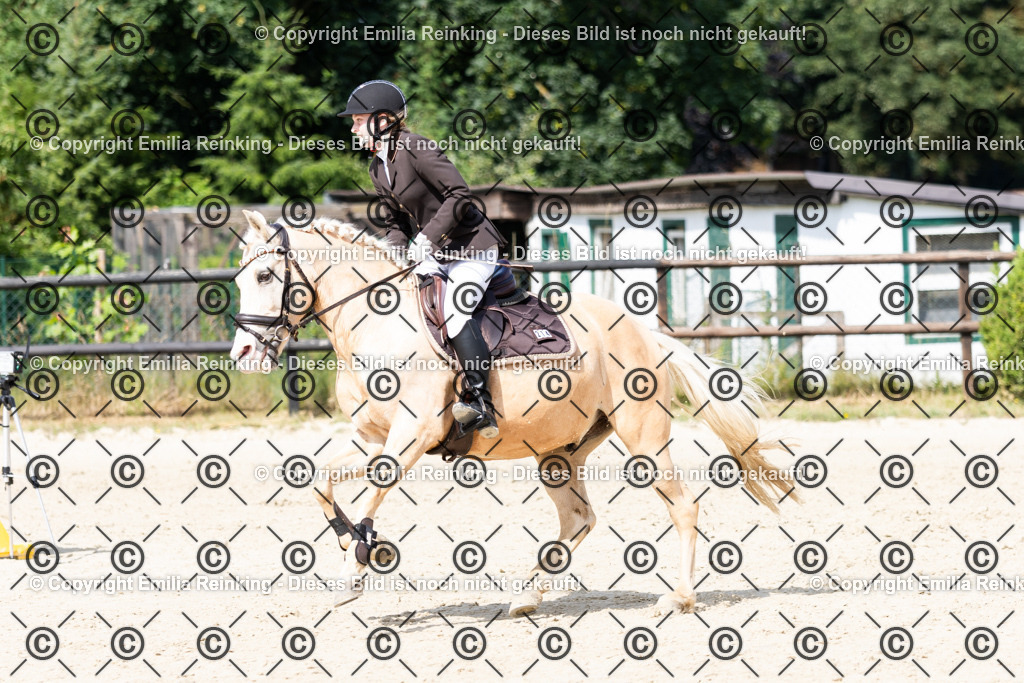 CL5A6800 | Emilia Reinking Fotografie - Realisiert mit Pictrs.com