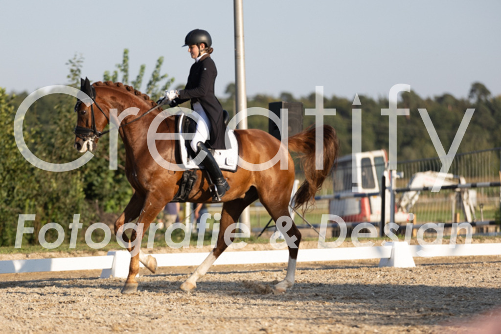 IMG_1364 | Creatify Fotografie