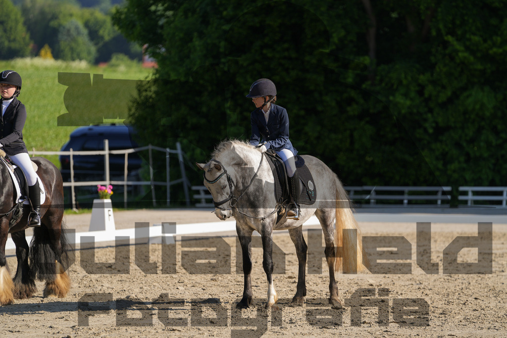 DSC02775 | Julian Held Fotografie - Realisiert mit Pictrs.com