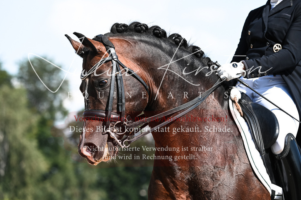 DSC_2927 | Pferde- und Turnierfotografie in Westsachsen. Pferdeportraits, Auftragszeichnungen und intuitive Kunst.