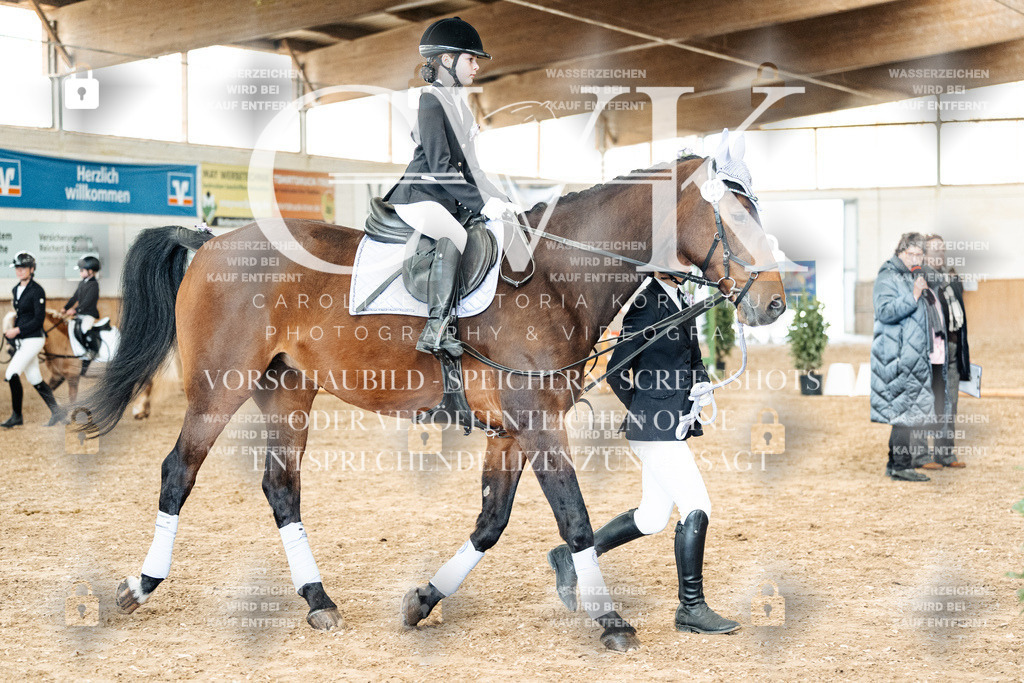 CK905834 | Turnierfotografie Pferdefotografie Trier Rheinland-Pfalz Pferdesport Reitsport Tierfotografie Sportfotografie Pferdevideo Pferdevideografie Equestrianvideography equestrianphotography  - Realisiert mit Pictrs.com