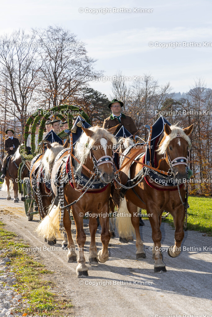 LBT24-1465 | foto-bettina-krinner - Realisiert mit Pictrs.com
