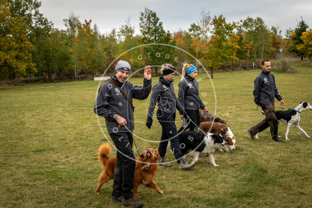 Pfotenfotografie_0L8A0255 | Hundefotografie, Tierfotograf, Pfotenfotografie, Fotoshooting Hund, Hunde Portrait, Hundesport, Hundeportraits, Heideshooting, Hunde, Sportfotograf, Hundefotograf, Turnierhundsport, THS,  - Realisiert mit Pictrs.com
