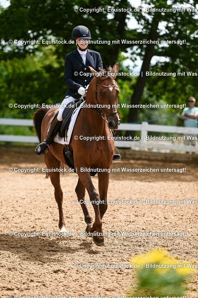 20230716_03_Dressurprfg. Kl.L - Tr._0404 | equistock