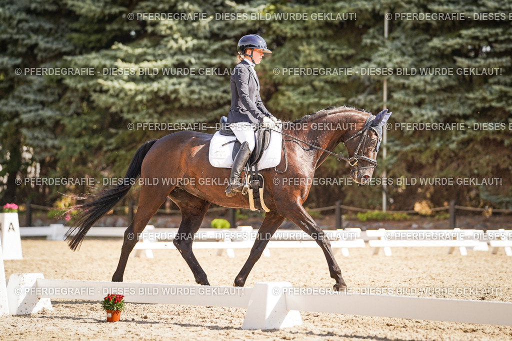 DSC00683 | Pferdegrafie