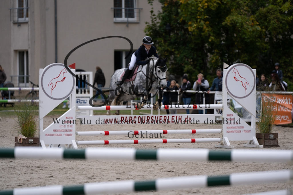 A7V09347 | Pferdefotograf