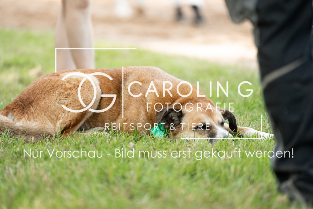 DSC05414 | Turnierfotografin Carolin Gieschke, Turnierfotografie Carolin G Fotografie, Turnierfotos Kirchheim/Teck, Esslingen, Stuttgart, Bodenseekreis