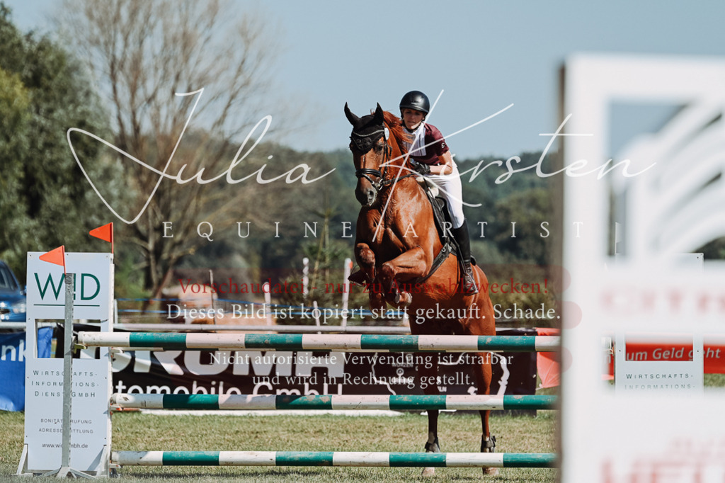 DSC_6419 | Pferde- und Turnierfotografie in Westsachsen. Pferdeportraits, Auftragszeichnungen und intuitive Kunst.