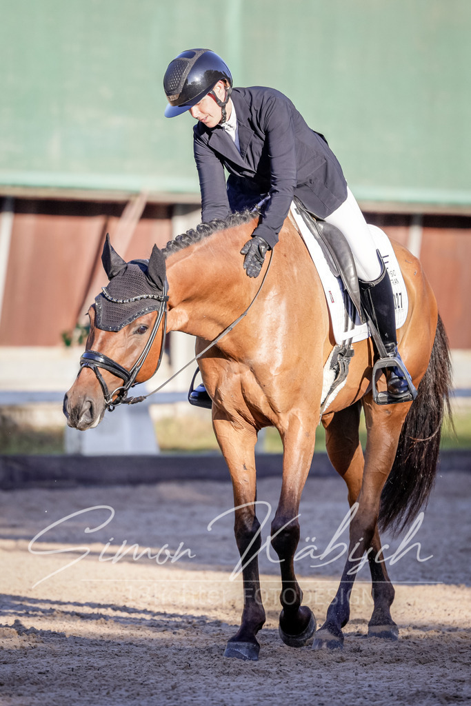 20250906-_3LI2910 | Tierfotografie Pferde, Hunde, Katzen, Haustiere.
Turnierfotografie Reitturniere, Reiten, Springreiten, Dressur in Hanau, dem Main-Kinzig-Kreis und dem Rhein-Main- Gebiet um Frankfurt