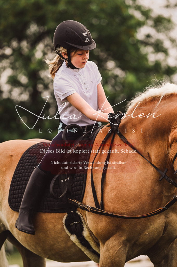 DSC_5260 | Pferde- und Turnierfotografie in Westsachsen. Pferdeportraits, Auftragszeichnungen und intuitive Kunst.