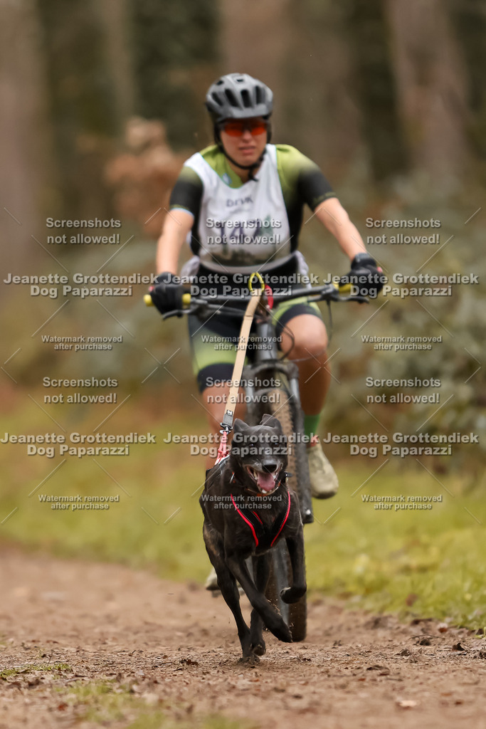 Dog Paparazzi - Speedhunter Mannheim  2025-409 | Dog Paparazzi Jeanette Grottendiek Fotografie & Videografie