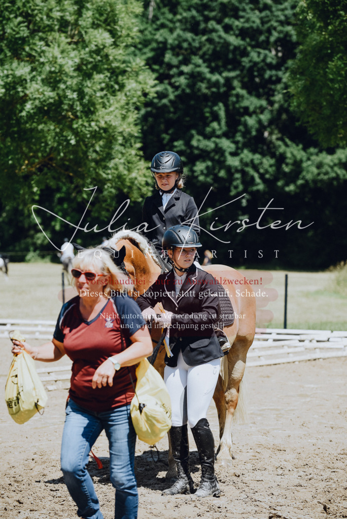DSC_2343 | Pferde- und Turnierfotografie in Westsachsen. Pferdeportraits, Auftragszeichnungen und intuitive Kunst.