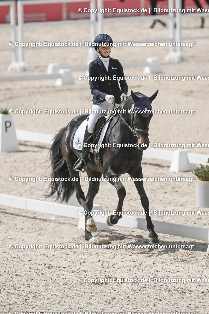 20250516_CCI2_Dressur_0486 | Foto: Thomas Hartig