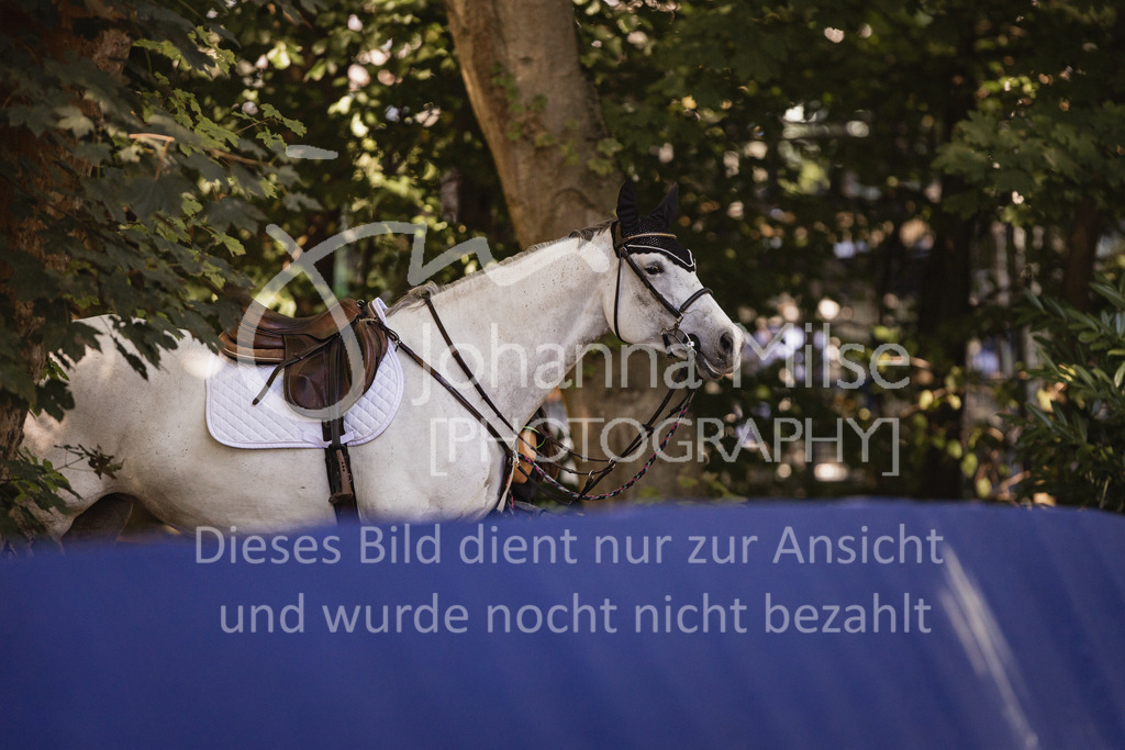 230907_OWLCh_Amateur-M-701 | Deine schönsten Turniermomente als professionelle Fotos! Entdecke hochwertige Pferdesport-Fotografie im Online-Shop. Jetzt Fotos finden & bestellen!
