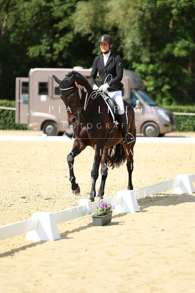 IMGM4284 | pl-fotografie