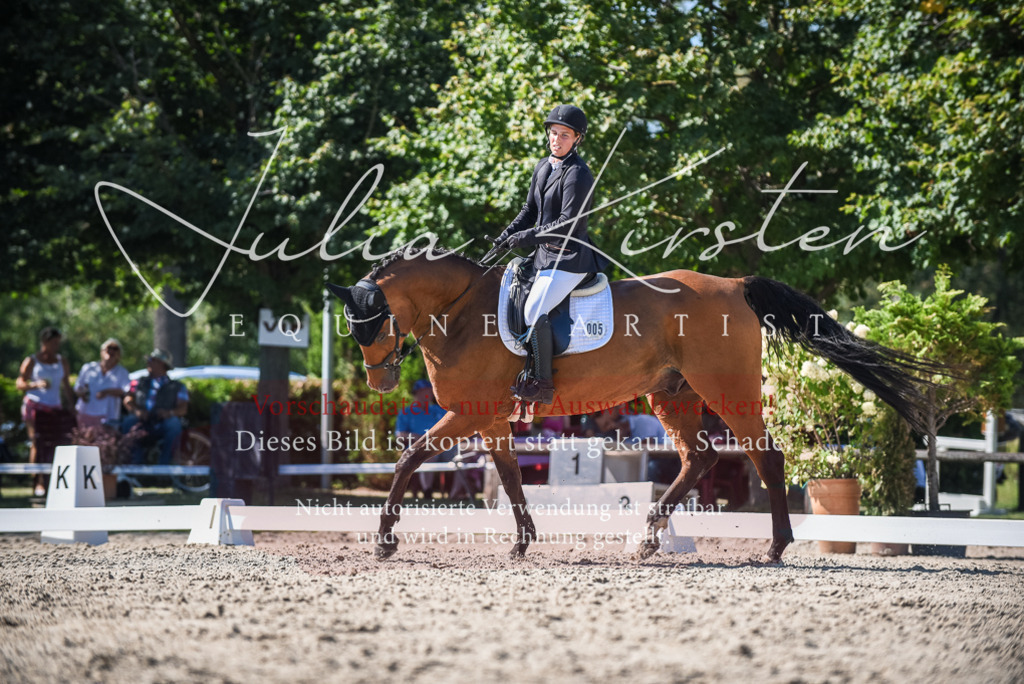 DSC_9686 | Pferde- und Turnierfotografie in Westsachsen. Pferdeportraits, Auftragszeichnungen und intuitive Kunst.