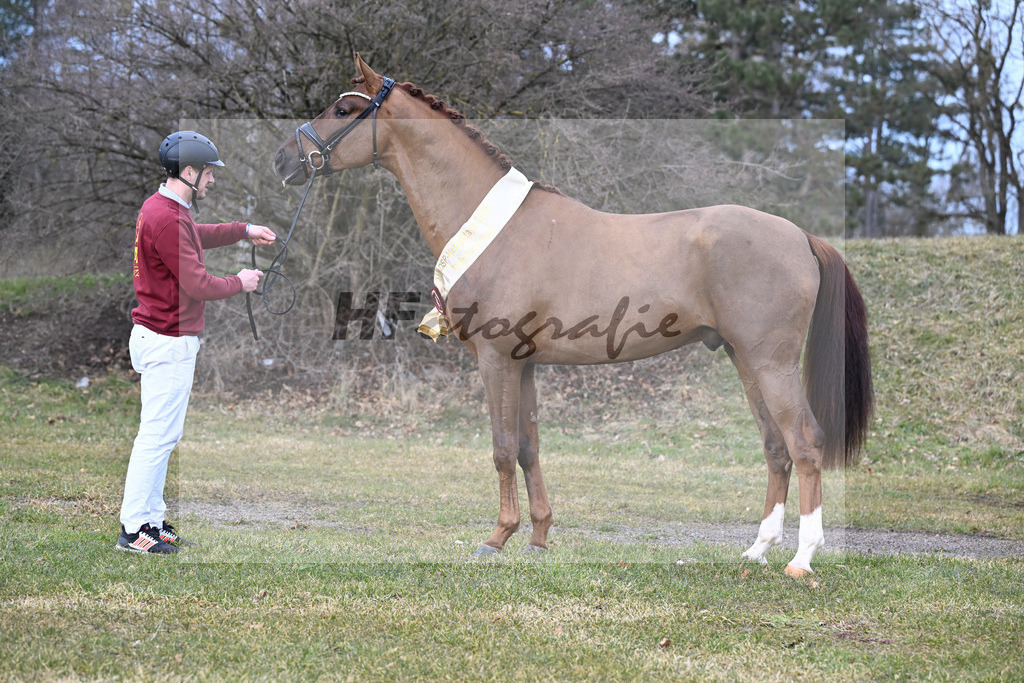 Kat.-Nr. 83 v. Va Bene_Winklmaier_2252277 | hf-fotografie - Realisiert mit Pictrs.com