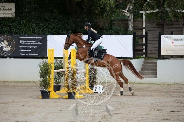 2B4A1463 | pixelfaenger - Realisiert mit Pictrs.com