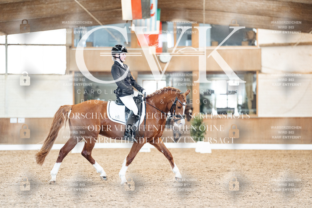CK908954 | Turnierfotografie Pferdefotografie Trier Rheinland-Pfalz Pferdesport Reitsport Tierfotografie Sportfotografie Pferdevideo Pferdevideografie Equestrianvideography equestrianphotography  - Realisiert mit Pictrs.com