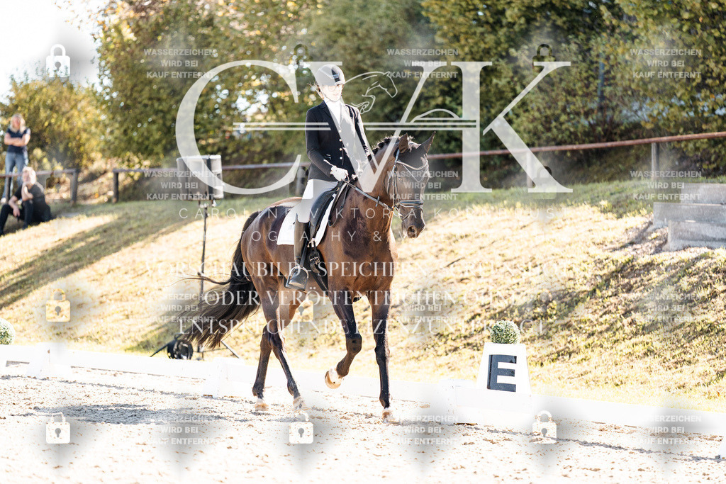 CK908993 | Turnierfotografie Pferdefotografie Trier Rheinland-Pfalz Pferdesport Reitsport Tierfotografie Sportfotografie Pferdevideo Pferdevideografie Equestrianvideography equestrianphotography  - Realisiert mit Pictrs.com