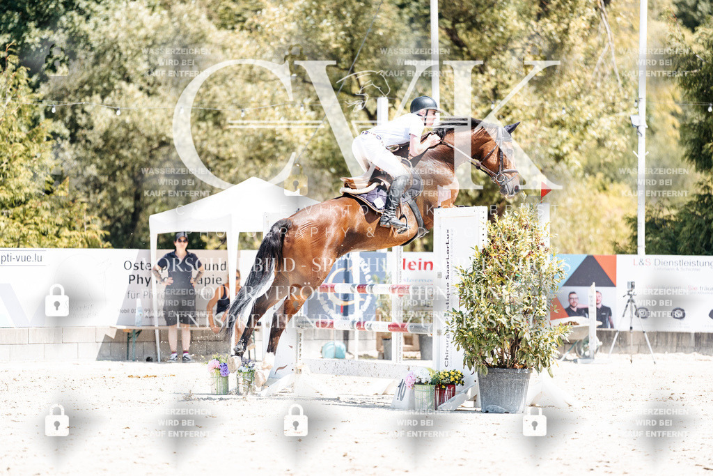CK900553 | Turnierfotografie Pferdefotografie Trier Rheinland-Pfalz Pferdesport Reitsport Tierfotografie Sportfotografie Pferdevideo Pferdevideografie Equestrianvideography equestrianphotography  - Realisiert mit Pictrs.com