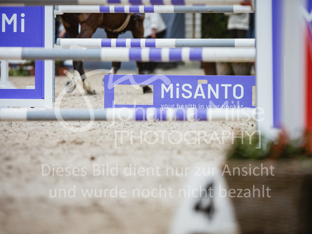 221112_Warstein_L-Spr-236 | Deine schönsten Turniermomente als professionelle Fotos! Entdecke hochwertige Pferdesport-Fotografie im Online-Shop. Jetzt Fotos finden & bestellen!