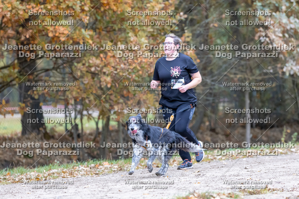 Dog Paparazzi - SD CaniX Championship 2025-667 | Dog Paparazzi Jeanette Grottendiek Fotografie & Videografie - Realisiert mit Pictrs.com