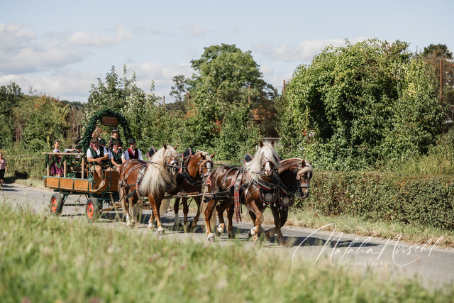 7V6A2596 | natalia-nirschl-photography