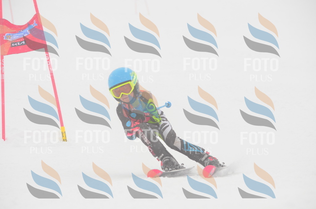 C0880 | holidayphoto