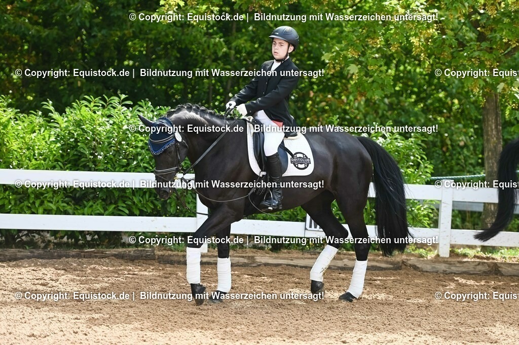 20230716_10-1_Reiter-WB Schritt - Trab - Galopp_0142 | equistock