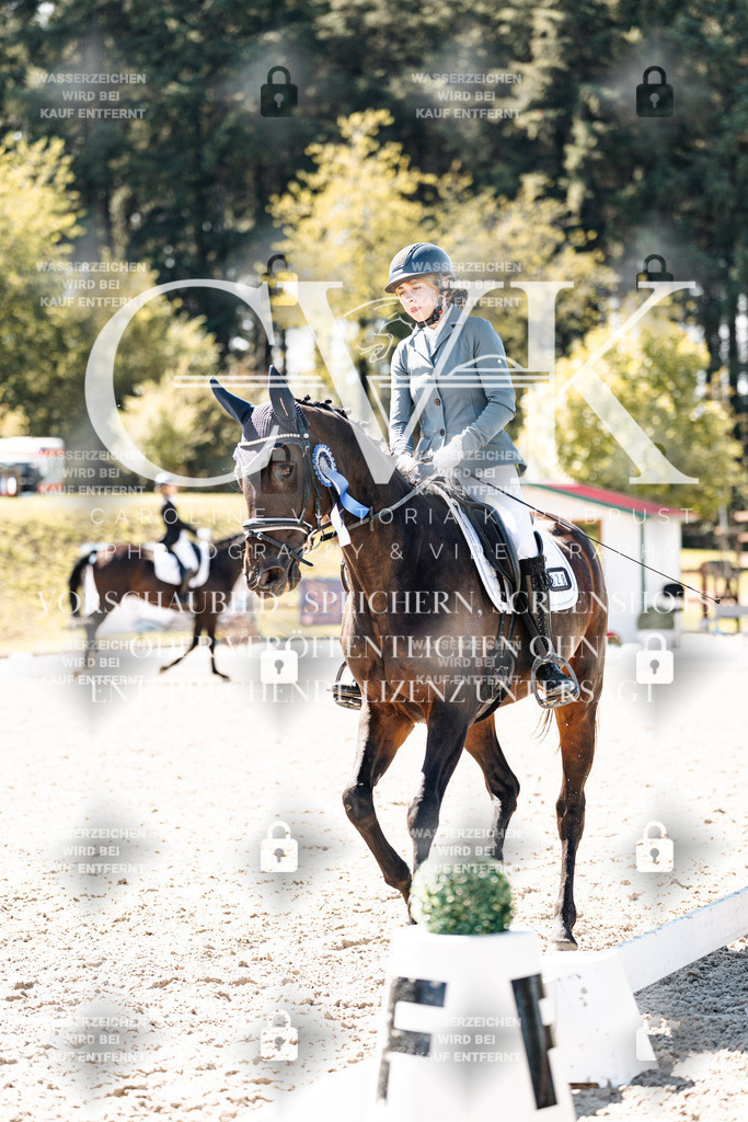 CK909983 | Turnierfotografie Pferdefotografie Trier Rheinland-Pfalz Pferdesport Reitsport Tierfotografie Sportfotografie Pferdevideo Pferdevideografie Equestrianvideography equestrianphotography  - Realisiert mit Pictrs.com