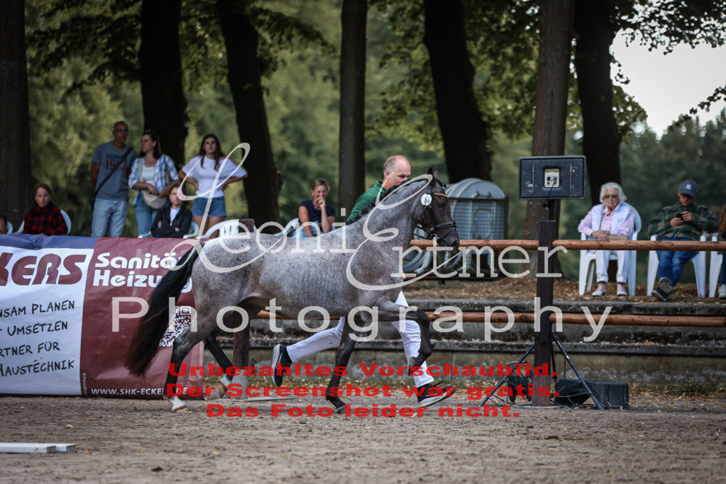 SoER00002 | Leoni Ertmer Photography - Realisiert mit Pictrs.com