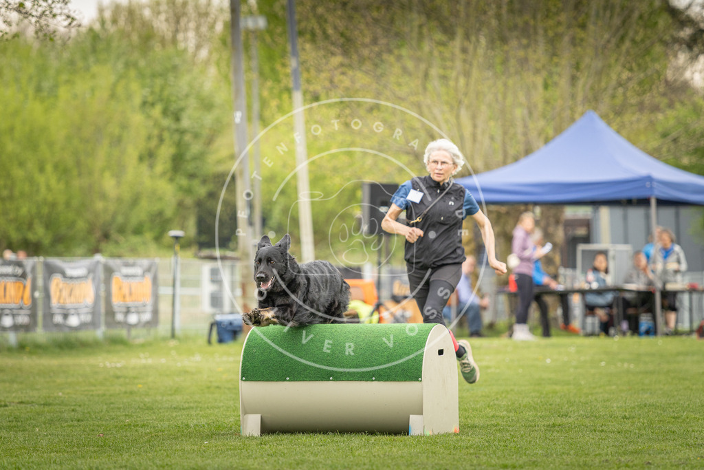 Pfotenfotografie_DV3A1588 | Hundefotografie, Tierfotograf, Pfotenfotografie, Fotoshooting Hund, Hunde Portrait, Hundesport, Hundeportraits, Heideshooting, Hunde, Sportfotograf, Hundefotograf, Turnierhundsport, THS,  - Realisiert mit Pictrs.com