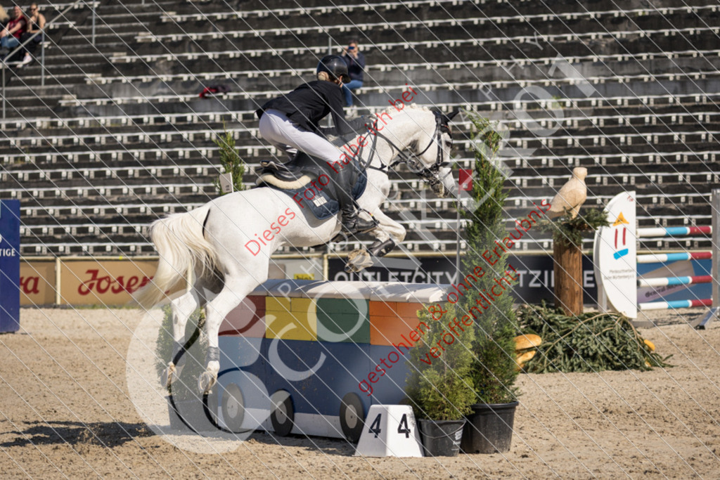 IMG_3872 | Sport-, Event- und Tierfotos in Profiqualität. Einfach auswählen, bestellen und herunterladen. Dein Moment – perfekt festgehalten.