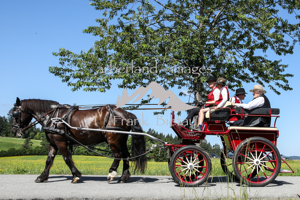 OE7A8355 | Medien- Sport- Entertainmentfotos