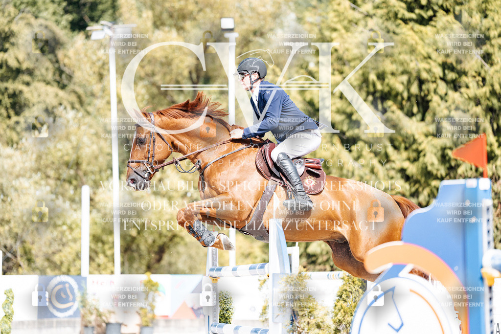 CK905343 | Turnierfotografie Pferdefotografie Trier Rheinland-Pfalz Pferdesport Reitsport Tierfotografie Sportfotografie Pferdevideo Pferdevideografie Equestrianvideography equestrianphotography  - Realisiert mit Pictrs.com