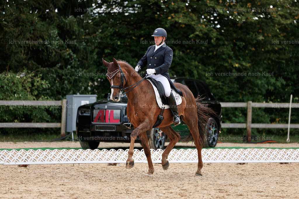11-092-Dressur S___-StoibPH-1313 | working equitationturnier fotograf videograf stoibphotography marixx film working equitation deutschland reitsport turnierfotografie eventfotografie equestrian events